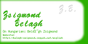 zsigmond belagh business card